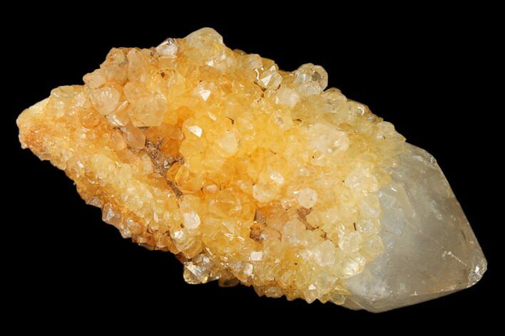 Sunshine Cactus Quartz Crystal - South Africa #122321